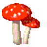 spinning mushrooms animation